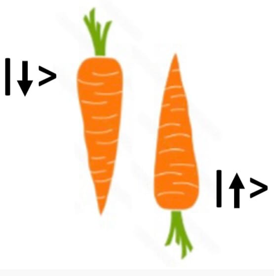 entangledcarrots.com