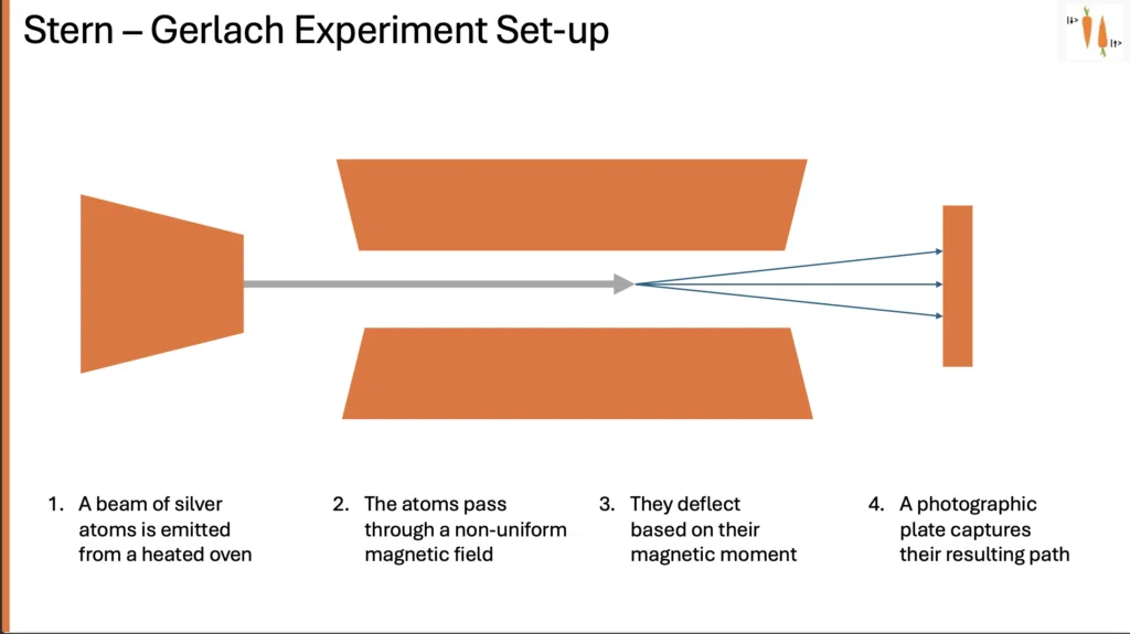 Sche,atic set up of the Stern-Gerlach experiment